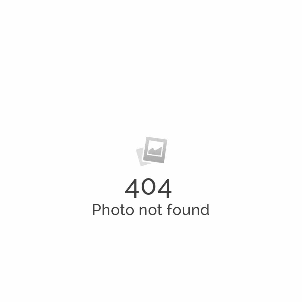 site-img8
